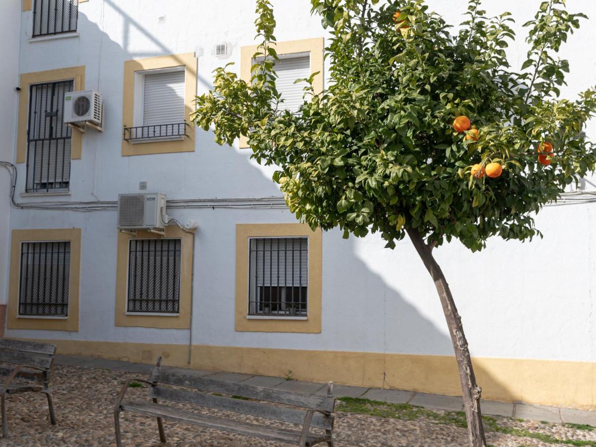 Nayber Gavia - Nuevo Y Centrico Apartamento En Córdoba Exterior foto