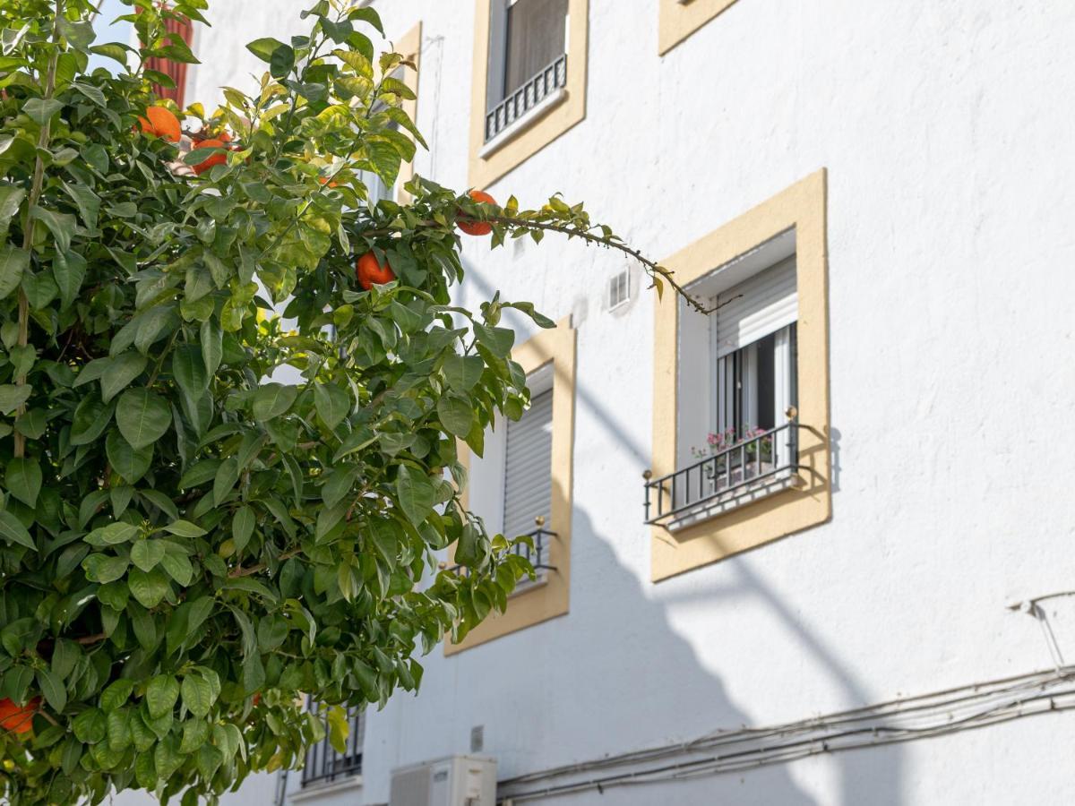 Nayber Gavia - Nuevo Y Centrico Apartamento En Córdoba Exterior foto